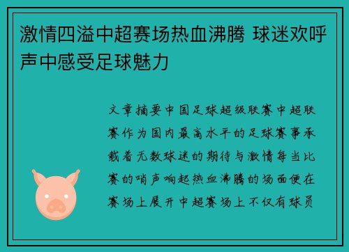 激情四溢中超赛场热血沸腾 球迷欢呼声中感受足球魅力