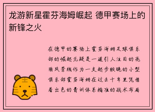 龙游新星霍芬海姆崛起 德甲赛场上的新锋之火