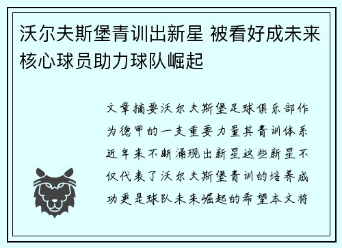沃尔夫斯堡青训出新星 被看好成未来核心球员助力球队崛起